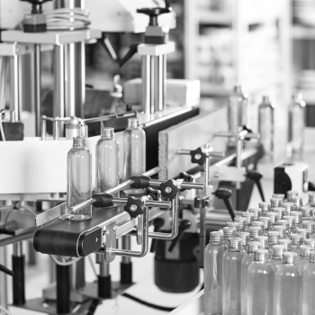 Happy colleagues in cafeteria